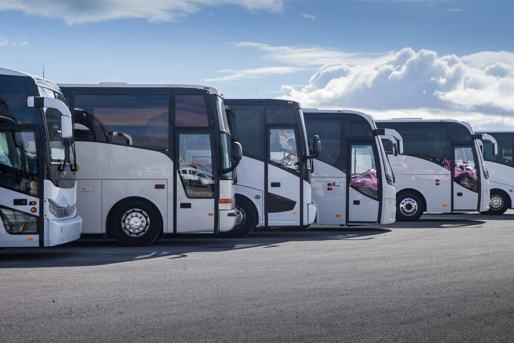 parked buses